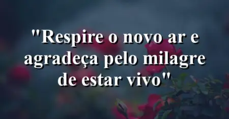 “Respire o novo ar e agradeça pelo milagre de estar vivo”
