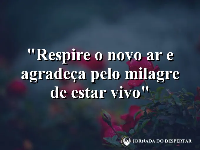 bom-dia-respirar-novo-ar-agradecer-milagre-vivo