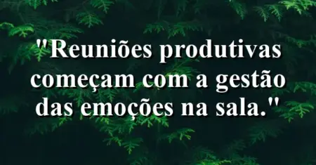 “Reuniões produtivas começam com a gestão das emoções na sala.”