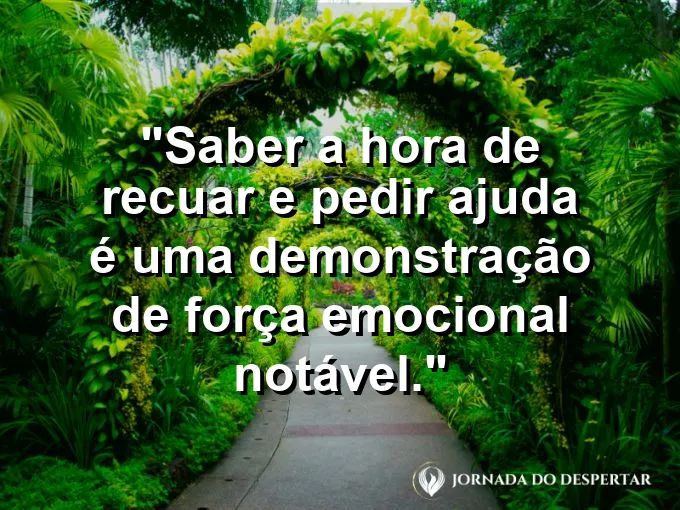 Pessoa escalando com segurança presa a uma corda com frase sobre recuar e pedir ajuda.