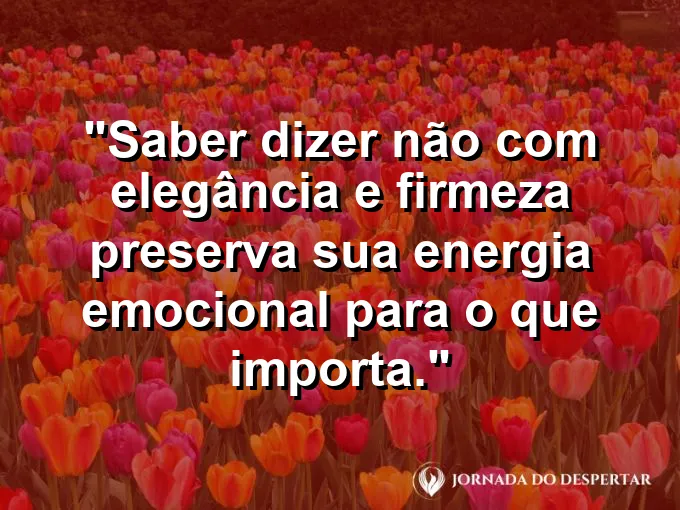Mão fazendo sinal de pausa gentilmente com frase sobre dizer não com elegância.