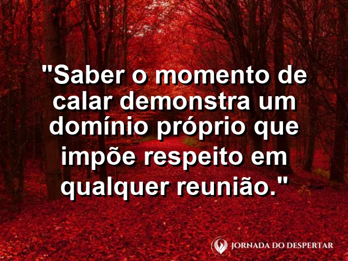Pedra polida em equilíbrio sobre água calma com frase sobre silêncio estratégico e respeito no trabalho.