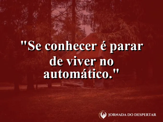 Frase sobre autoconhecimento e autoestima: Se conhecer é parar de viver no automático.