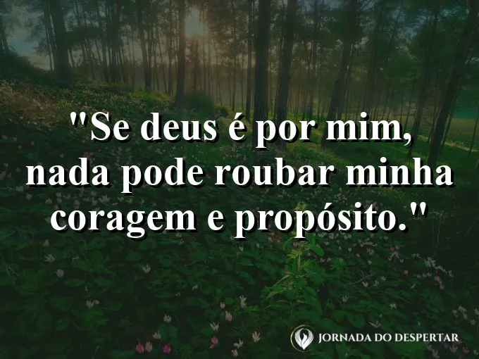 Imagem com a frase: Se Deus é por mim, nada pode roubar minha coragem e propósito.