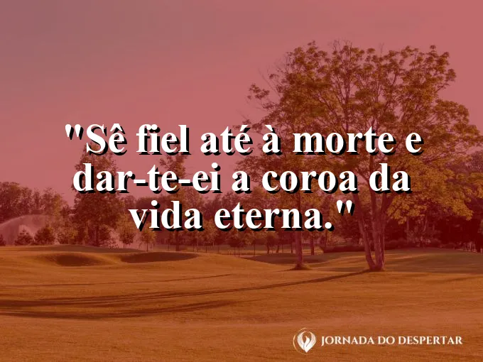 Coroa de ouro brilhando intensamente sobre fundo escuro com frase de fidelidade e vida eterna.