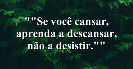 “Se você cansar, aprenda a descansar, não a desistir.”