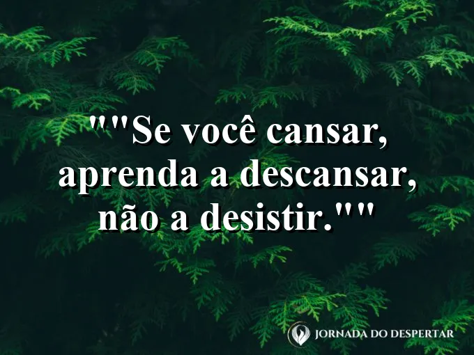 Uma rede balançando suavemente entre duas árvores.