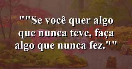 “Se você quer algo que nunca teve, faça algo que nunca fez.”