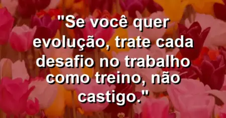 “Se você quer evolução, trate cada desafio no trabalho como treino, não castigo.”