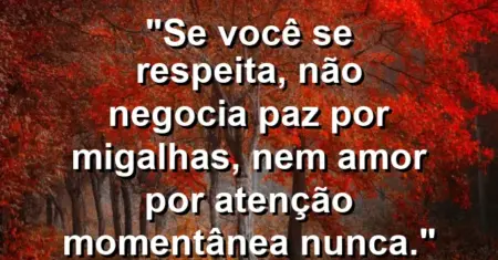 Se você se respeita, não negocia paz por migalhas, nem amor por atenção momentânea nunca.