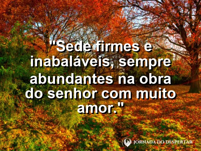 Pilar de pedra resistente em meio a ruínas com frase sobre ser firme e inabalável sempre.