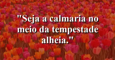 Seja a calmaria no meio da tempestade alheia.
