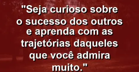 “Seja curioso sobre o sucesso dos outros e aprenda com as trajetórias daqueles que você admira muito.”