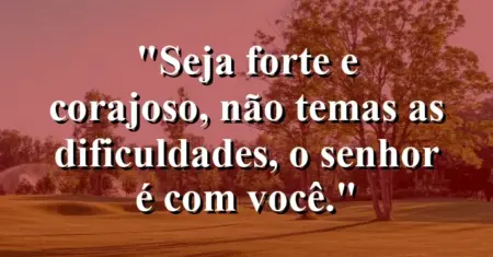 “Seja forte e corajoso, não temas as dificuldades, o Senhor é com você.”
