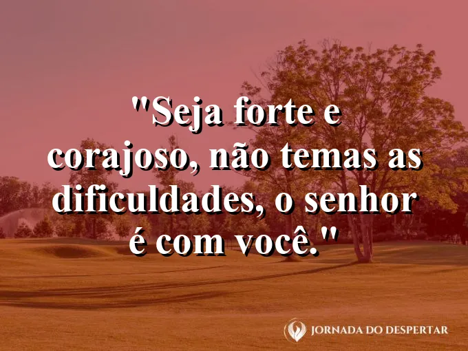 Leão olhando para o horizonte com olhar firme e frase de coragem e força no Senhor.
