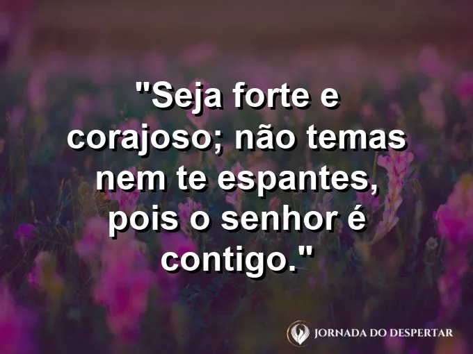 Leão olhando para o horizonte com olhar firme e frase de coragem e força divina.