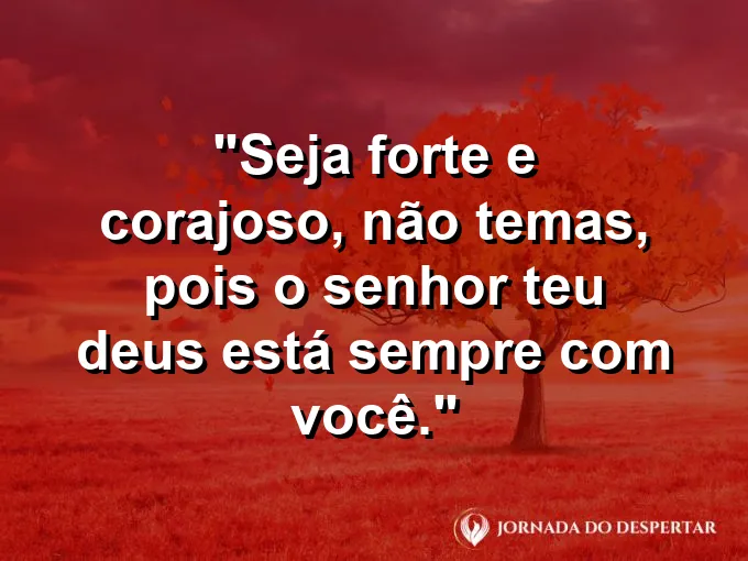 Leão olhando o horizonte com olhar firme e frase sobre coragem e a presença de Deus.