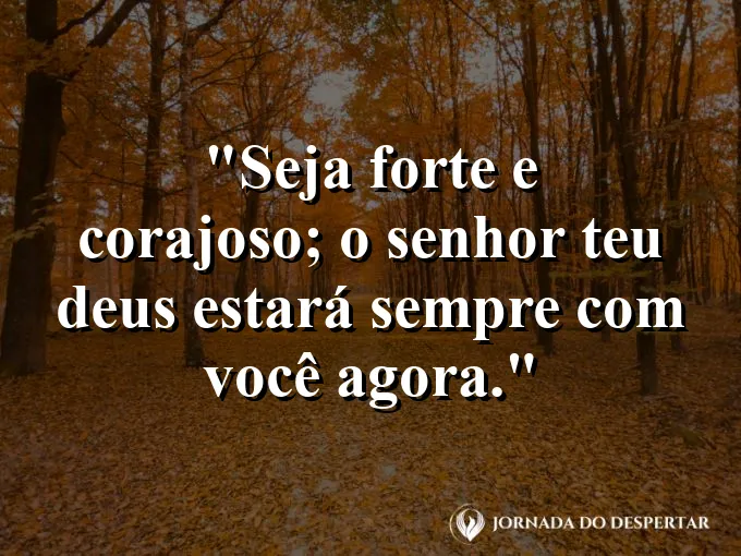 Leão olhando para o horizonte com olhar firme e frase de coragem e força no Senhor.
