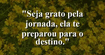 Seja grato pela jornada, ela te preparou para o destino.