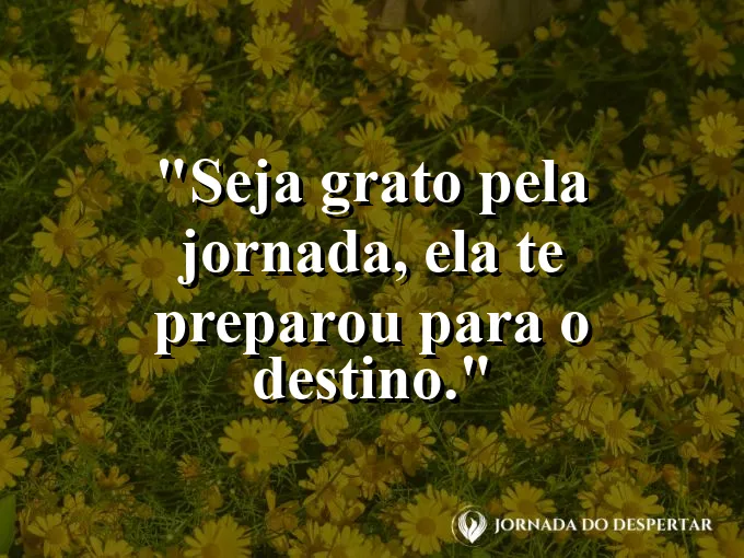 Trilha de montanha vista do topo após a subida.