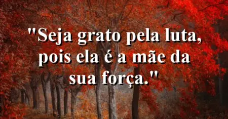 Seja grato pela luta, pois ela é a mãe da sua força.