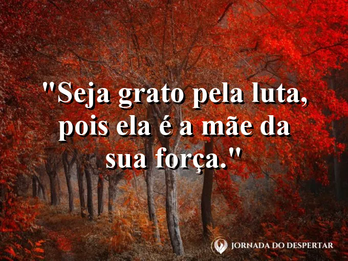 Alguém carregando lenha sob o sol com expressão serena.