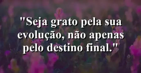 Seja grato pela sua evolução, não apenas pelo destino final.