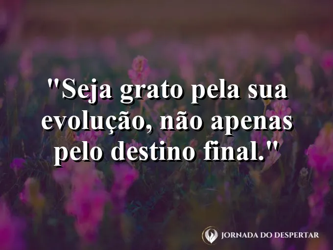 Alguém subindo uma montanha e olhando para o caminho percorrido.