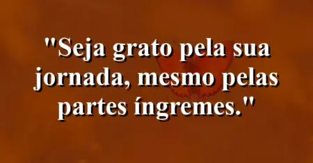 Seja grato pela sua jornada, mesmo pelas partes íngremes.