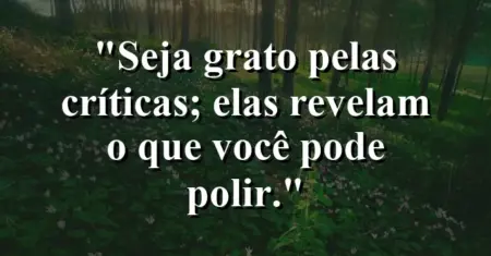 Seja grato pelas críticas; elas revelam o que você pode polir.