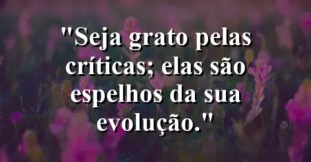 Seja grato pelas críticas; elas são espelhos da sua evolução.