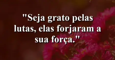 Seja grato pelas lutas, elas forjaram a sua força.