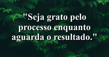 Seja grato pelo processo enquanto aguarda o resultado.