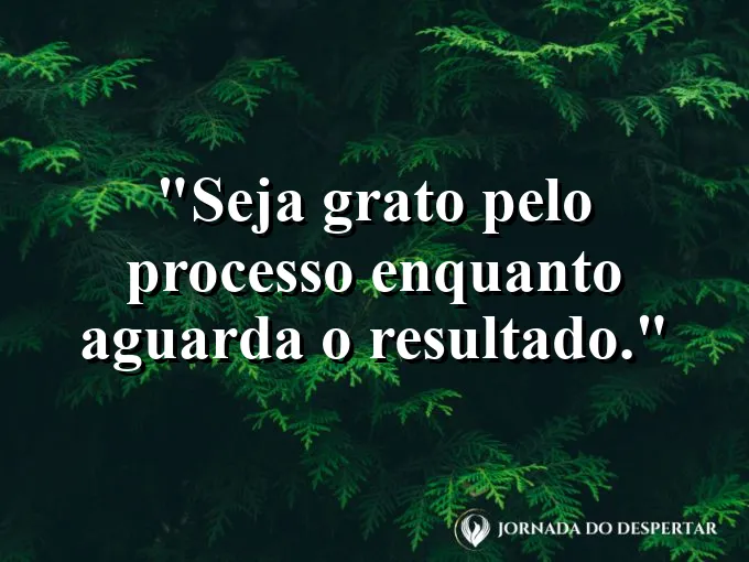 Alguém caminhando por uma trilha na floresta com sol entre as árvores.