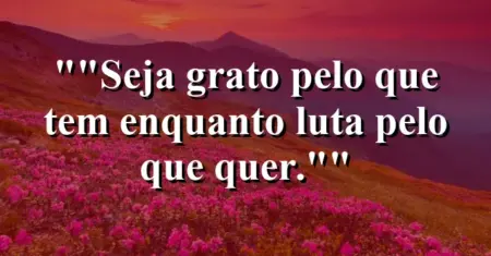 “Seja grato pelo que tem enquanto luta pelo que quer.”