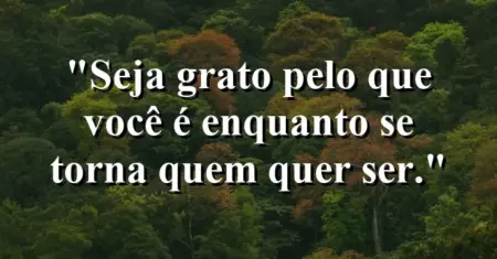 Seja grato pelo que você é enquanto se torna quem quer ser.