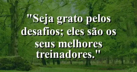 Seja grato pelos desafios; eles são os seus melhores treinadores.