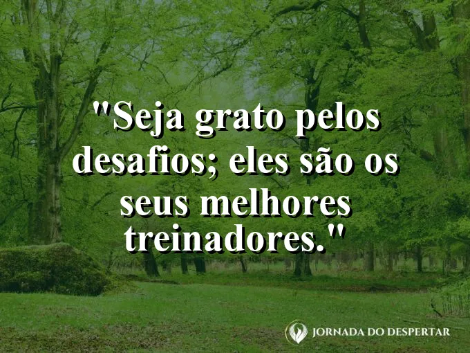 Close de um aperto de mãos firme entre dois adversários.