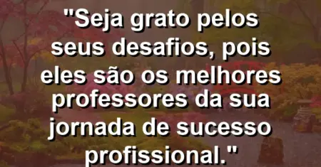 “Seja grato pelos seus desafios, pois eles são os melhores professores da sua jornada de sucesso profissional.”