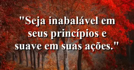 Seja inabalável em seus princípios e suave em suas ações.