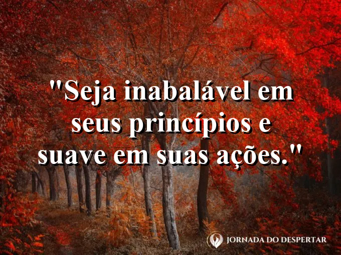 Raízes de uma árvore centenária segurando firme a terra.