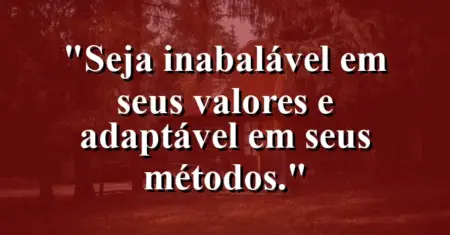 Seja inabalável em seus valores e adaptável em seus métodos.