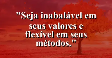Seja inabalável em seus valores e flexível em seus métodos.