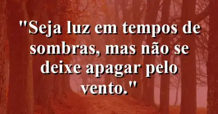 Seja luz em tempos de sombras, mas não se deixe apagar pelo vento.