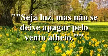 “Seja luz, mas não se deixe apagar pelo vento alheio.”