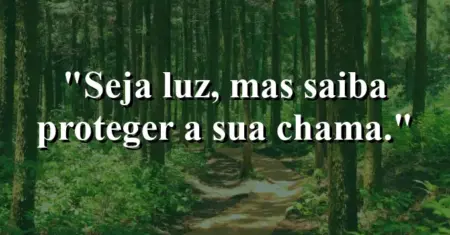 Seja luz, mas saiba proteger a sua chama.