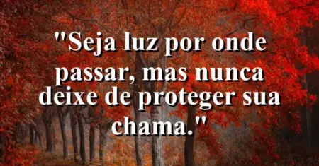 Seja luz por onde passar, mas nunca deixe de proteger sua chama.