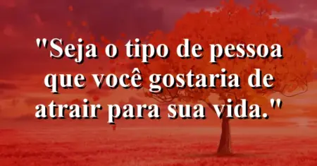 Seja o tipo de pessoa que você gostaria de atrair para sua vida.
