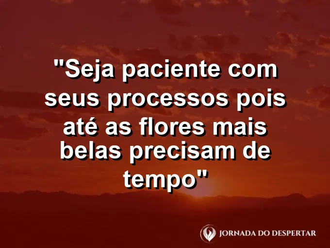 ATRIBUTO ALT DA IMAGEM COM A FRASE: O desabrochar em câmera lenta de uma rosa vermelha sob a luz suave da manhã de primavera.