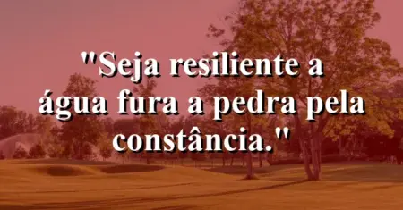 Seja resiliente: a água fura a pedra pela constância.